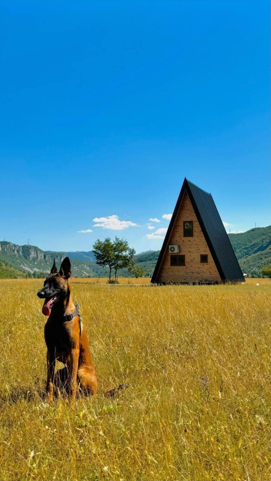 Šavnik Silence Houseヴィラ エクステリア 写真